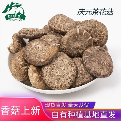 庆元香菇 茶花菇250g 各类规格大小花菇 农产品定制批发厂家供应