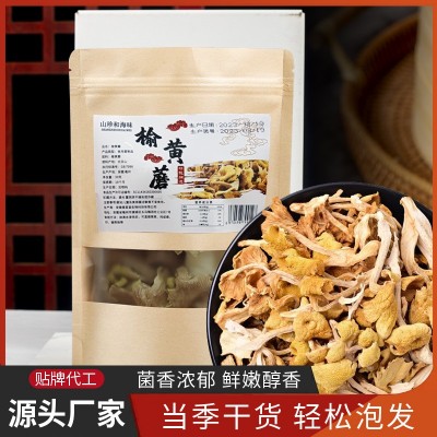 东北原产地黄金菇榆黄菇菌菇包汤料包干货厂家批发 鸡油菌可代发