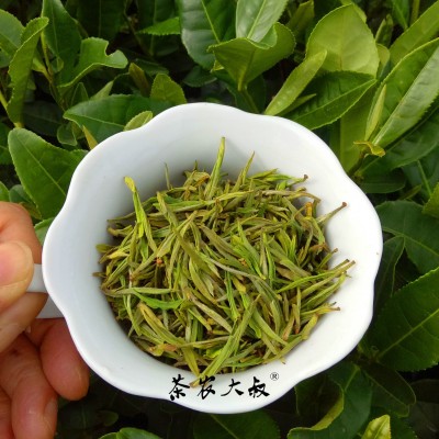 绿茶春茶2023新茶 毛峰白茶凤型白茶 货源厂家批发散茶浙江湖州