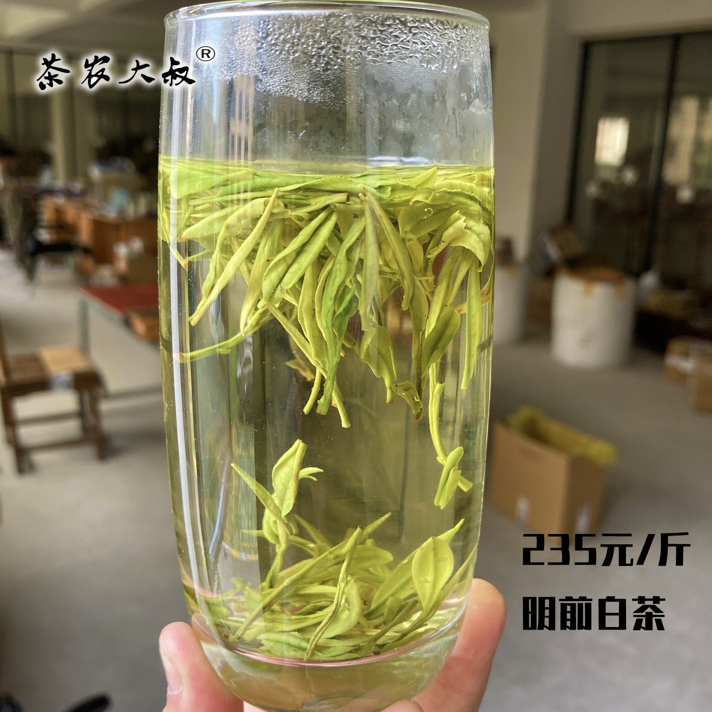 235明前白茶2