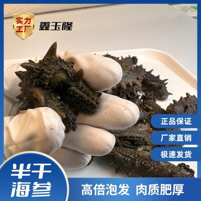 半干盐渍辽刺参批发 大火拉缸盐海参500g 15-50头礼品滋补品团购