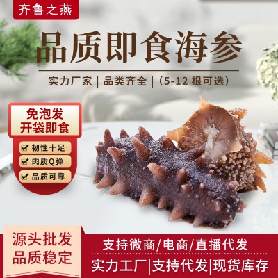 即食海参批发鲜食辽刺参非干货厂家直供批发代发口感劲道