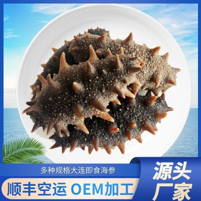 批发大连即食海参刺参即食海参鲜食批发冷冻海鲜辽参礼盒非干货