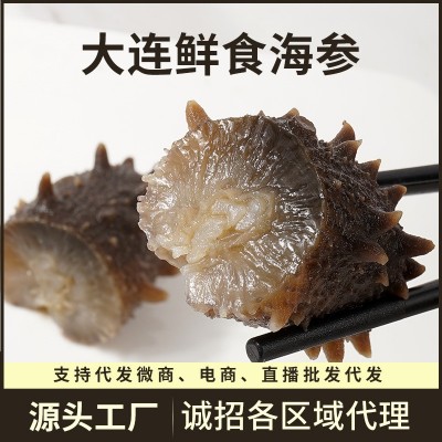 厂家批发 海参批发代发 单个装开袋即食 大连鲜食海参