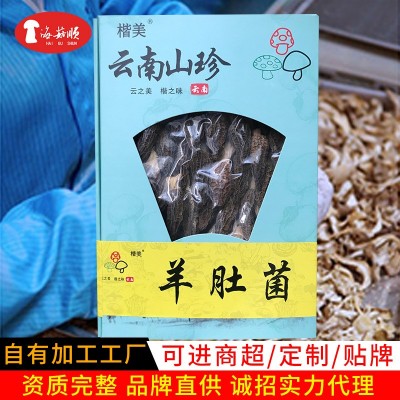 云南楷美羊肚菌盒装羊肚菌菌类干货煲汤食材补充营养50g代发批发