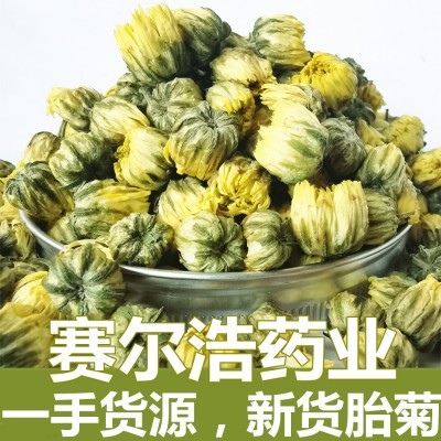 批发 胎菊 北京胎菊 菊花茶杭白菊 桐乡胎菊花厂家供应 量大从优